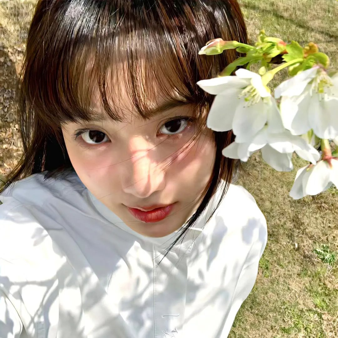 莫斯科行动