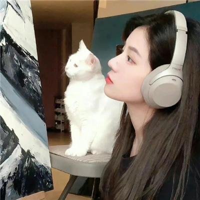 查尔斯天鹅三世的心灵